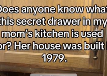 TikTok screenshot of undercabinet drawer with writing on it